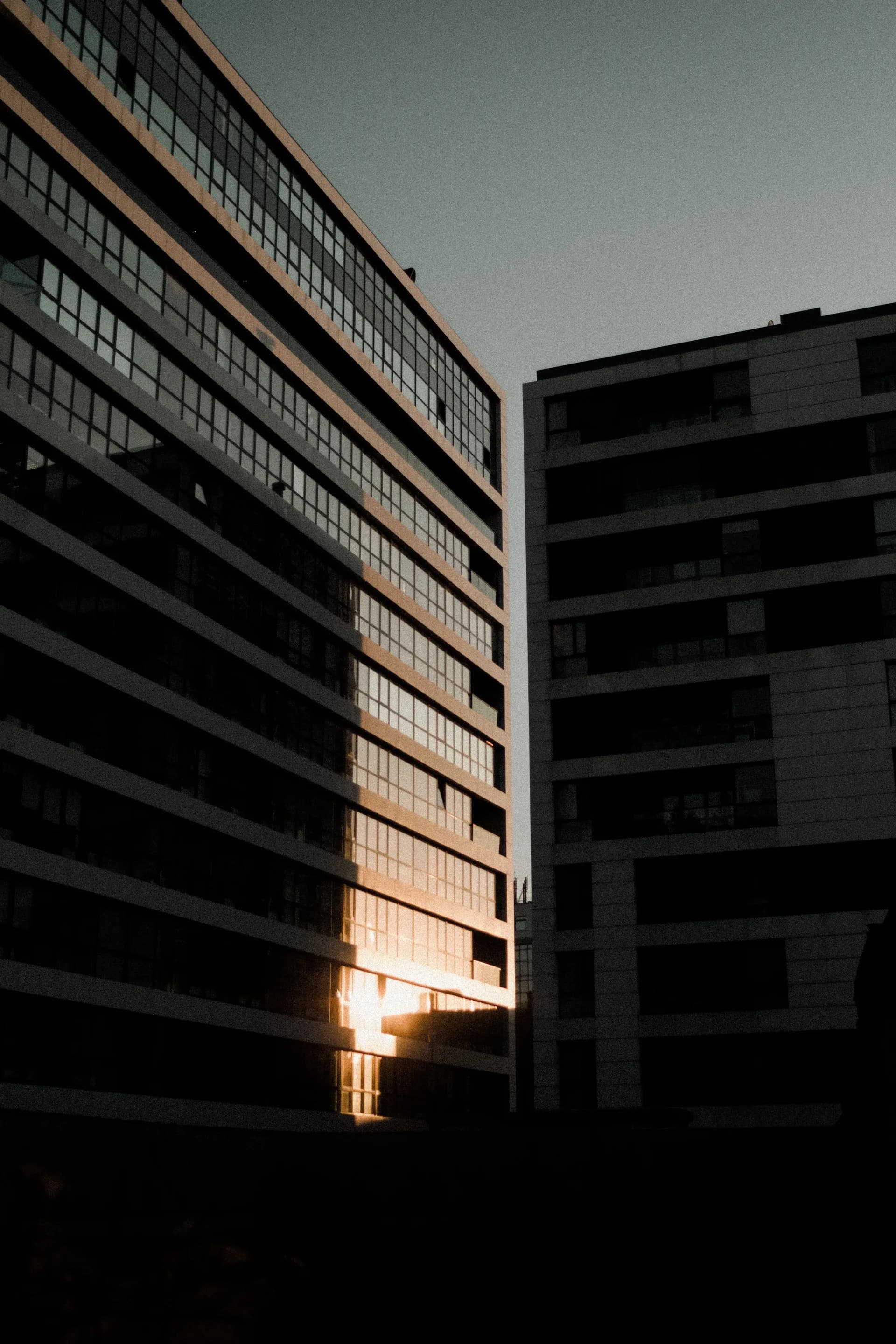 L'équipe de L'Observatoire Financier
